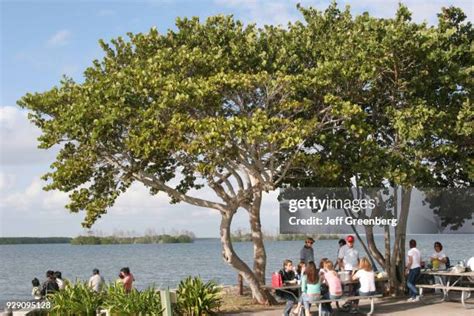 21 Homestead Bayfront Park Stock Photos, High-Res Pictures, and Images ...