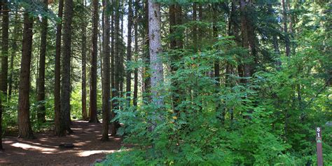 Lake Easton State Park Campground | Outdoor Project