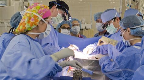 UMMC Transplant Team Completes First Liver Case In 22 Years - Ole Miss News