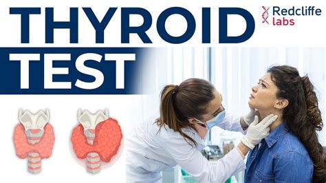 Basics Of Thyroid Disease: Types, Causes, Symptoms, Test,, 43% OFF