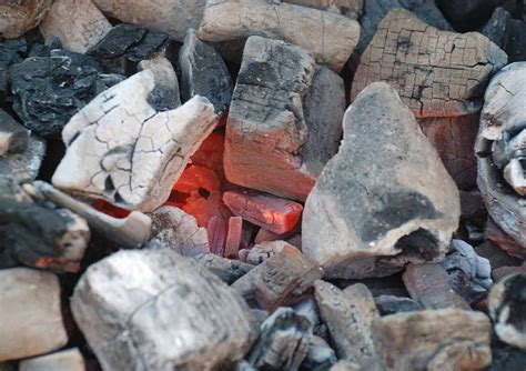 Quel est le MEILLEUR CHARBON pour Barbecue ? 2021