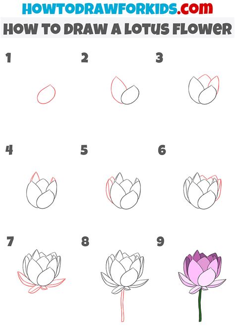 How to Draw a Lotus Flower - Easy Drawing Tutorial For Kids