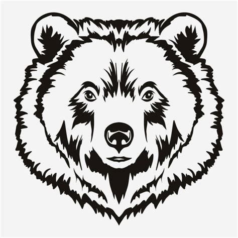 Bear Face Illustrations, Royalty-Free Vector Graphics & Clip Art - iStock