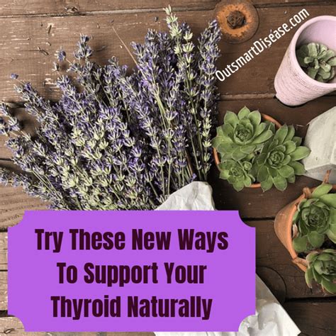 Try These New Ways Of Natural Thyroid Support