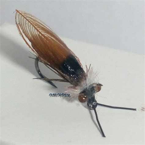 caddis | Fly fishing flies pattern, Fly fishing art, Fly fishing flies trout