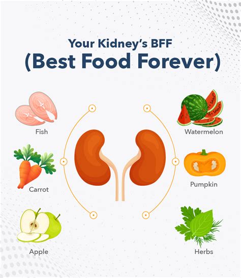 Foods to Avoid with Kidney Stones | Pathkind Labs Blog