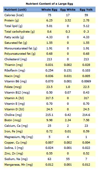 What Kind Of Vitamins Are In Eggs