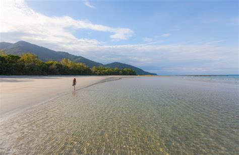 Cape Tribulation & Daintree Wilderness - Klook Australia