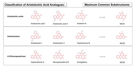 Biomolecules | Free Full-Text | Computational Analysis of Naturally Occurring Aristolochic Acid ...