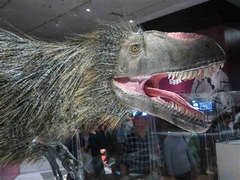 The Top 10 Weirdest Dinosaurs