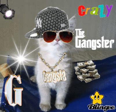 the cat gangster Picture #119671336 | Blingee.com