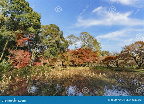 Beautiful Fall Color of Kyoto Botanical Garden Editorial Photo - Image ...