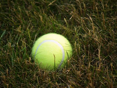 Tennis Ball in Grass | A random tennis ball sits on our fron… | Sanford Kearns | Flickr