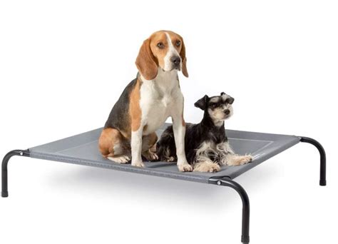 Best Large Orthopedic Dog Beds: 9 Reasons To Own One - MyDoggie