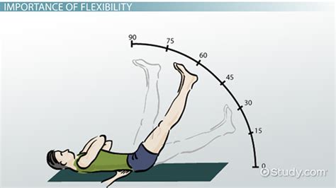 Range of Motion | ROM Definition, Types & Exercises - Lesson | Study.com