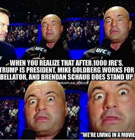 joe rogan ufc meme