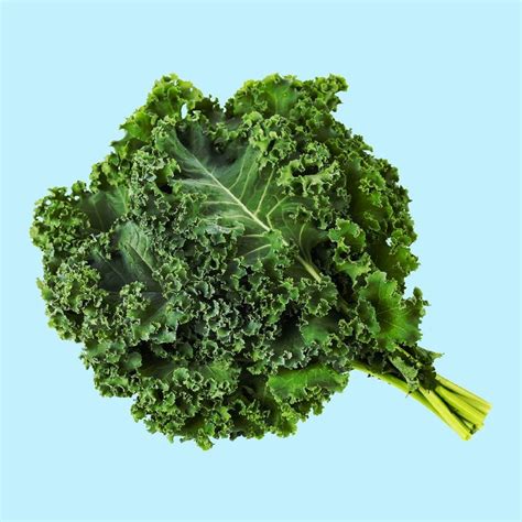 Curly Kale