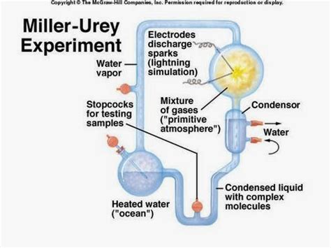 The Evolution Problem: The Miller-Urey Experiment