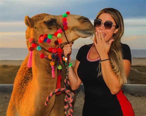 Los Cabos: Camel Safari Adventure | GetYourGuide