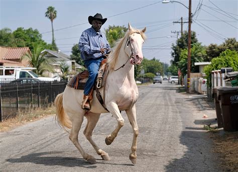 Compton's cowboys — AP Images Spotlight