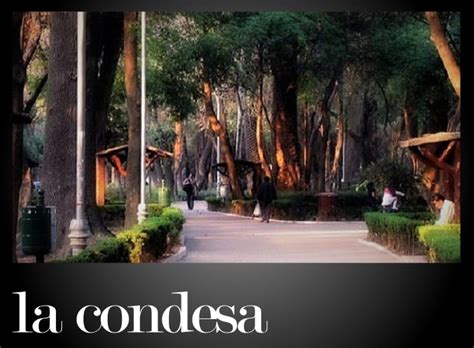 Best Restaurants in La Condesa Mexico City 2022 | Mexico's Best Restaurants