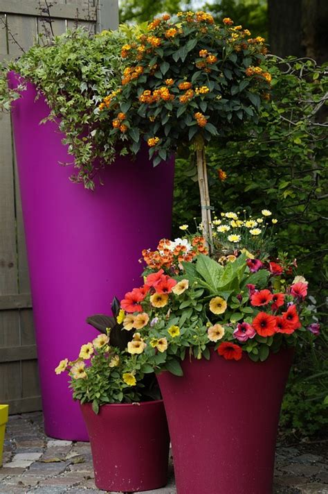 Free photo: Garden, Flower Pots, Pots, Flowers - Free Image on Pixabay - 785584