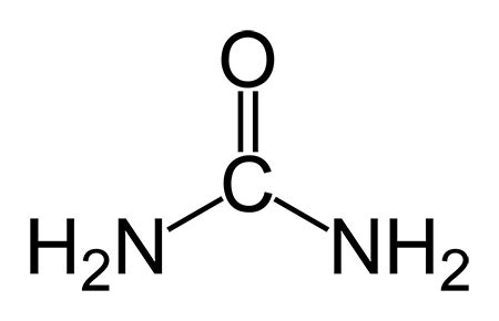 Urea | Structure, Formula & Uses - Lesson | Study.com