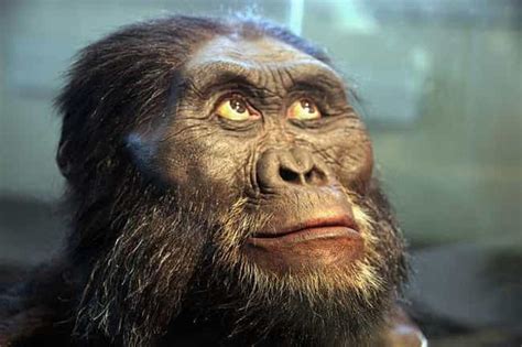 The Story Of Lucy - A Humanoid Skeleton That Is 3.2 Million Years Old