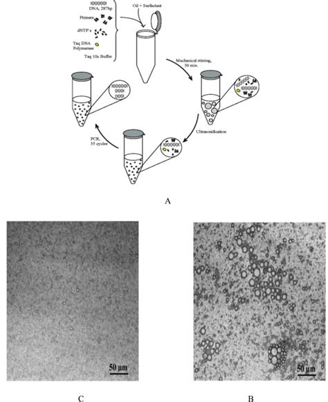 (a) Stages of preparation of miniemulsion, (b) light microscope image ...