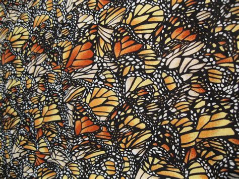 fabric monarch butterfly print wings oarnge and black