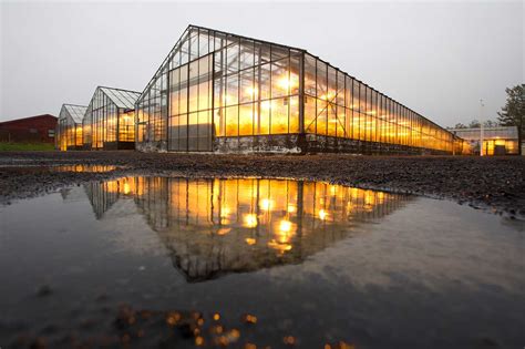 Winter greenhouse lights can be maximized using grow light movers