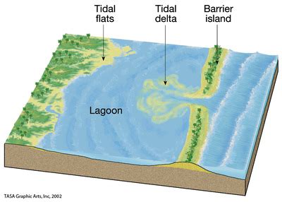 Climate and Tides - Estuaries