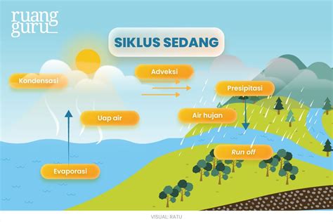 Siklus Hidrologi Pengertian Dan Jenis Jenisnya Geografi Kelas 10 | Images and Photos finder