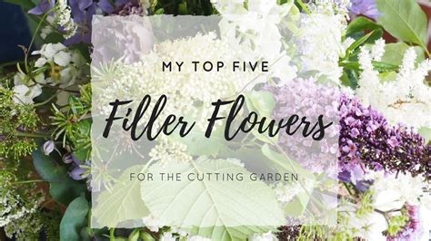 My Top 5 Filler Flowers for the Cutting Garden — Sarah Hill Flowers