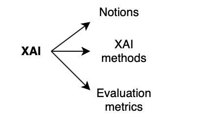 Current state of XAI research | Download Scientific Diagram