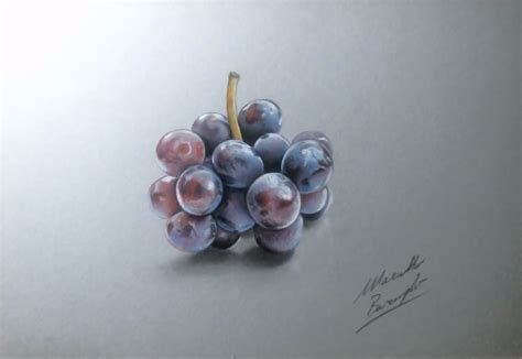 Realistic Drawing - How to draw grapes by Marcello Barenghi | HoW To DRaW