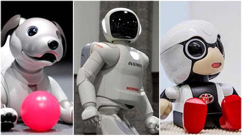 Top 5 Japanese Robots You Should Check out in 2023 - Robotics India Live