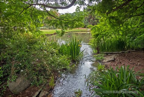 Fullerton Arboretum... | The Fullerton Arboretum is a 26-acr… | Flickr