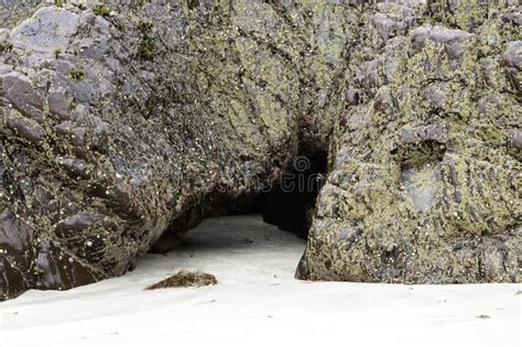 Serpentine Rock Formation At Kyance Cove In Cornwall Stock Photo ...