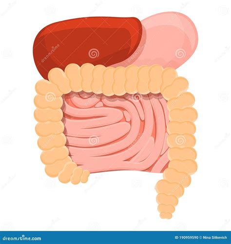 Metabolic Digestion System Icon, Cartoon Style Stock Vector ...