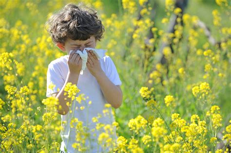 Seasonal allergies and myopia control: what parents should know