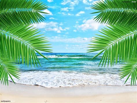 Tropical Beach Pictures Wallpapers - Wallpaper Cave