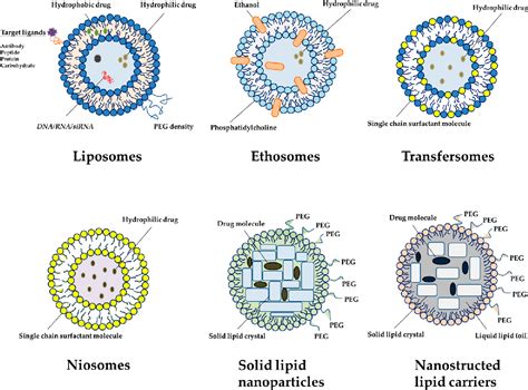 Figure 2 from Lipid-Based Nanoparticles as a Potential Delivery Approach in the Treatment of ...