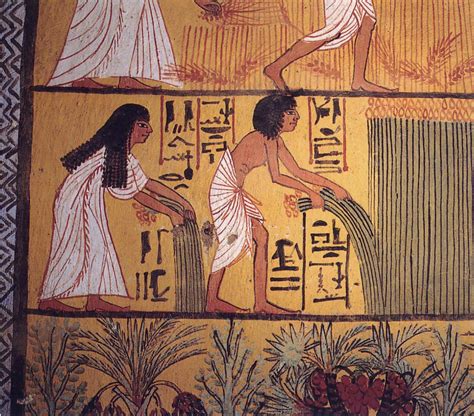 File:Egyptian harvest.jpg - Wikipedia, the free encyclopedia