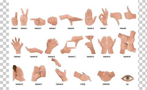 Gesture Nonverbal Communication Hand PNG, Clipart, Arm, Body Language, Business Communication ...