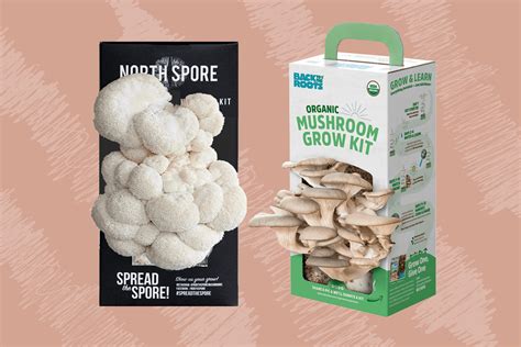 The 6 Best Mushroom Growing Kits