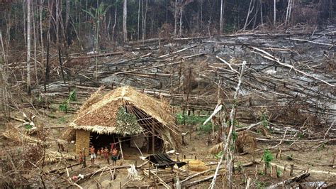 The mystery of the world's uncontacted tribes | World News | Sky News