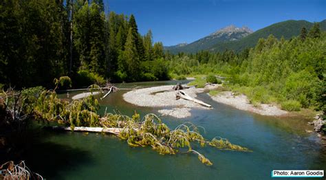 Skagit River Trout Fishing Tips – Sea-Run Fly & Tackle