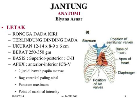 Arti Kedutan di Jantung Kiri: Apakah Ini Pertanda Buruk? - simbolnext.com