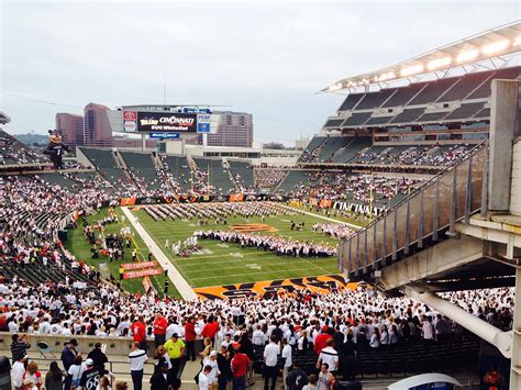 Cincinnati Bearcats Field Wall. | Behance :: Behance